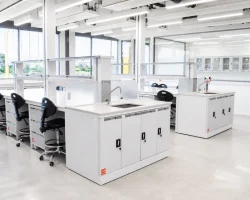 Alliance Bioversity